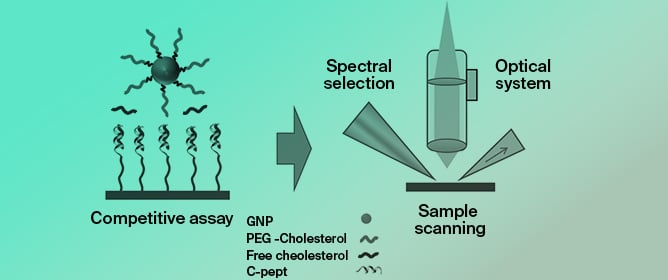 Innovative Peptide-Based Plasmonic Optical Biosensor for the Determination of Cholesterol