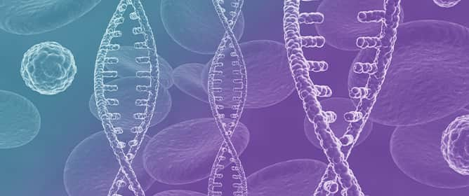 Gain-of-Function and Loss-of-Function Mutations in the RyR2-Expressing Gene Are Responsible for the CPVT1-Related Arrhythmogenic Activities in the Heart