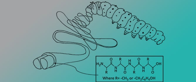 Sericin Protein: Structure, Properties, and Applications