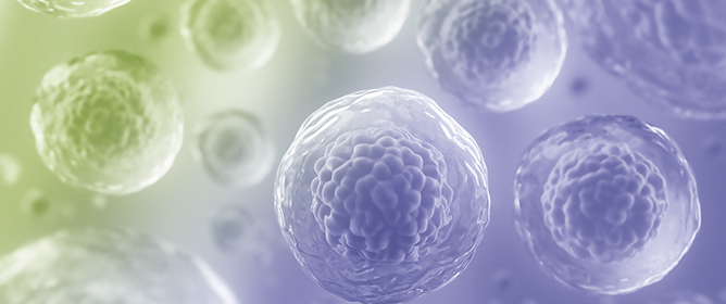 Molecular Insights into Radiation Effects and Protective Mechanisms: A Focus on Cellular Damage and Radioprotectors