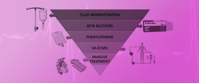 Tailored Therapies for Cardiogenic Shock in Hypertrophic Cardiomyopathy: Navigating Emerging Strategies