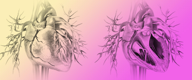 The Key Role of 3D TEE in Assessing the Morphology of Degenerative Mitral Valve Regurgitation