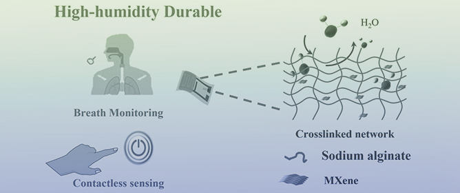 Sodium Alginate/MXene-Based Flexible Humidity Sensors with High-Humidity Durability and Application Potentials in Breath Monitoring and Non-Contact Human&ndash;Machine Interfaces