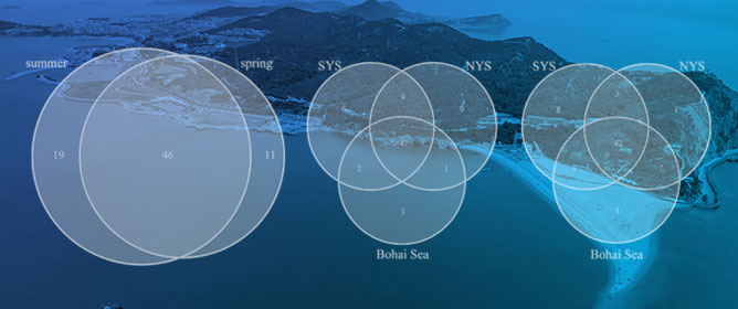 New Insights into Fish Diversity in the Yellow and Bohai Seas Based on Environmental DNA Technology