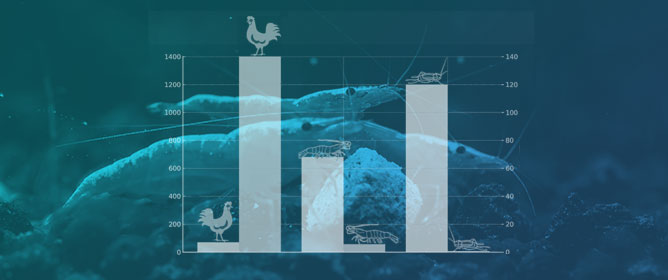 Insights into Decapod Sentience: Applying the General Welfare Index (GWI) for Whiteleg Shrimp (<em>Penaeus vannamei</em>&mdash;Boone, 1931) Reared in Aquaculture Grow-Out Ponds