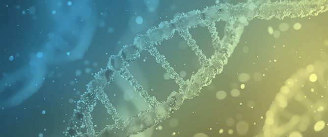 Helicases at Work: Unwinding at Low Temperatures