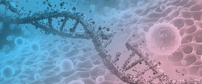 Cell Senescence and DNA Single-Strand Break Repair