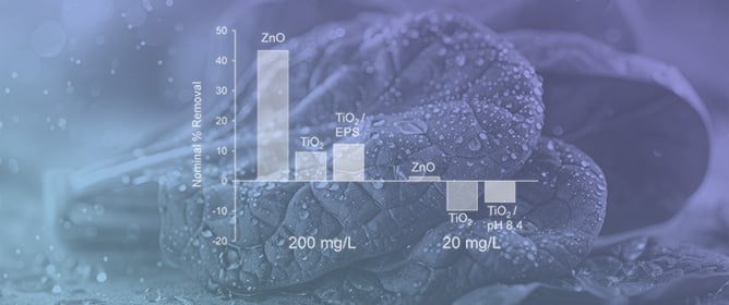 Removal of Attached Zinc Oxide and Titanium Dioxide Nanoparticles from Spinach Leaves by Rinsing in the Absence and Presence of Preexisting Surface Extracellular Polymeric Substances (EPS)