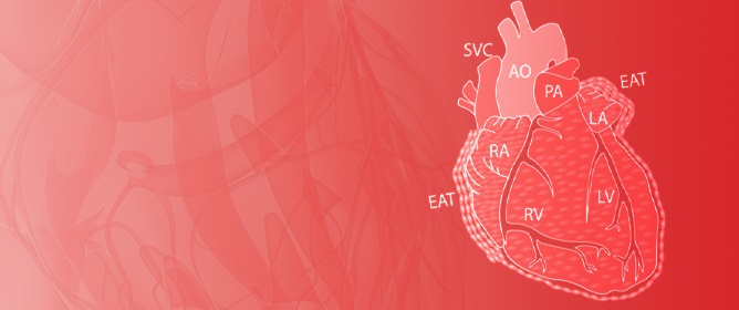 Deciphering the Involvement of the Epicardium in Cardiac Diseases