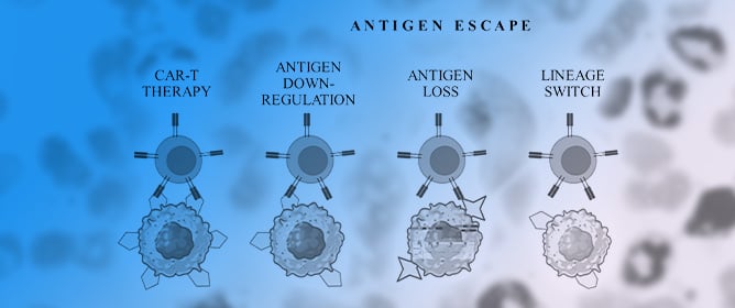 Overcoming Antigen Escape and T-Cell Exhaustion in CAR-T Therapy for Leukemia