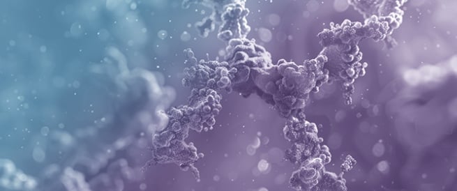 A Brief Chronicle of Antibody Research and Technological Advances