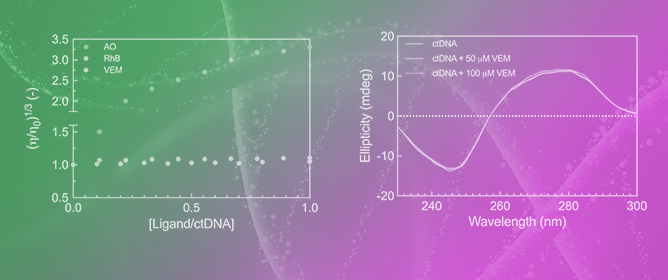 Into the Groove: A Multitechnique Insight into the DNA&ndash;Vemurafenib Interaction