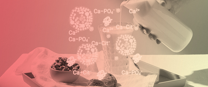 Distribution of Salts in Milk and Cheese: Critical Methodological Aspects