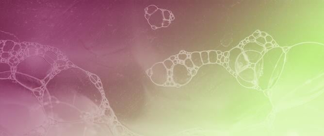 Establishment of an Immortalized Porcine Alveolar Macrophage Cell Line That Supports Efficient Replication of PRRSVs