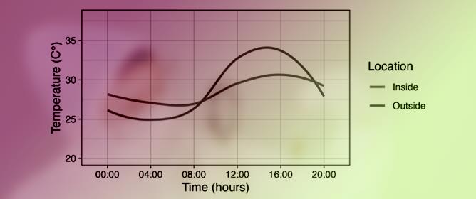 Investigating the Effects of Microclimate on Arboviral Kinetics in <em>Aedes aegypti</em>