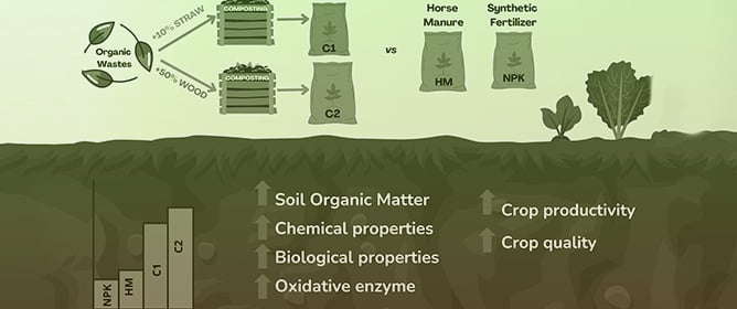 Influence of Agro-Industrial Waste Composts on Soil Characteristics, Growth Dynamics, and Yield of Red Cabbage and Broccoli