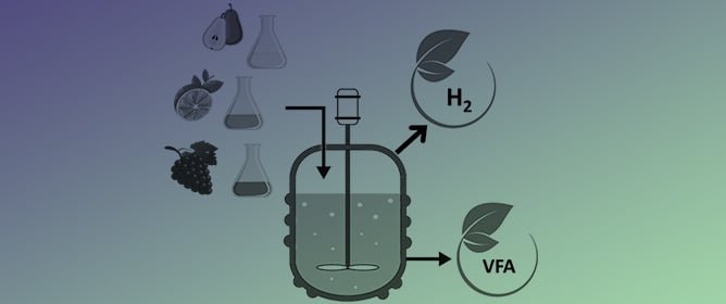 Dark Fermentation of Fruit Juice Effluents: Effects of Substrate Concentration