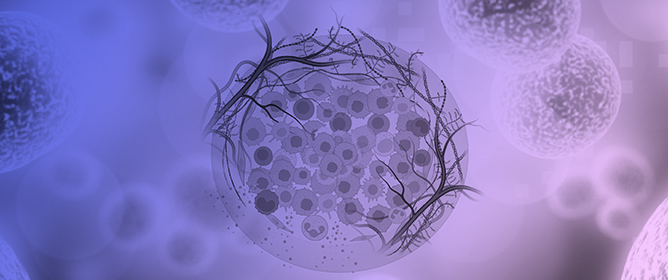 Tumor Microenvironment Biology and Imaging in Nuclear Medicine