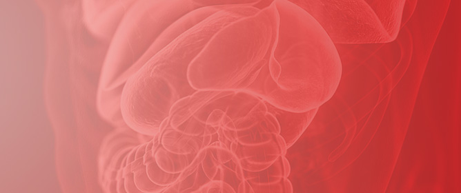 Crosstalk Between the Spleen and Other Organs/Systems: Downstream Signaling Events