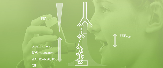 Is Exclusive Small Airway Asthma a Possibility?