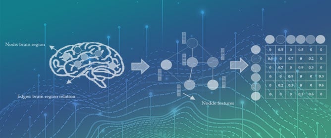 Graph Neural Networks in Brain Connectivity Studies: Methods, Challenges, and Future Directions