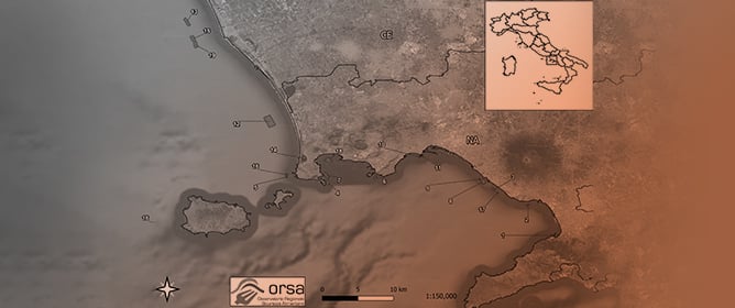 Paralytic Shellfish Poisoning (PSP) Toxins in Bivalve Molluscs from Southern Italy Analysed by Liquid Chromatography Coupled with High-Resolution Mass Spectrometry (UHPLC-HRMS/MS)