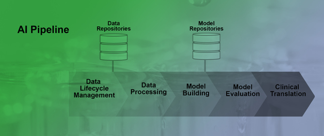 Building an Ethical and Trustworthy Biomedical AI Ecosystem for the Translational and Clinical Integration of Foundation Models