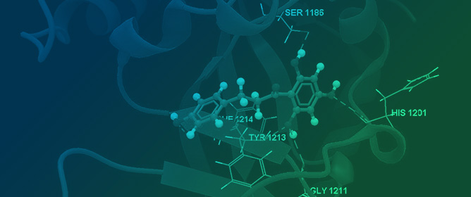 In Silico Comparison of Quantum and Bioactivity Parameters of a Series of Natural Diphenyl Acetone Analogues, and In Vitro Caco-2 Studies on Three Main Chalcone Derivatives