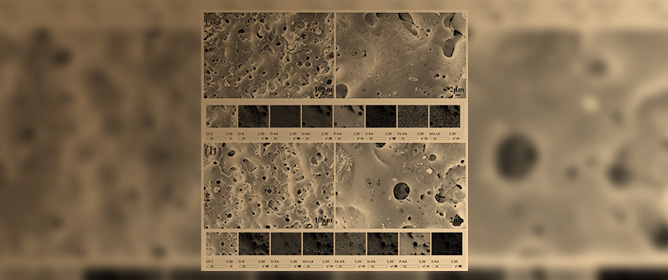 Properties of Nanoparticles Incorporated into Black PEO Coating on TC4 Alloy