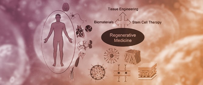 Application of Inorganic-Based Bionanomaterials as Biocompatible Scaffolds for Regenerative Medicine and Tissue Engineering: Current Advances and Developments