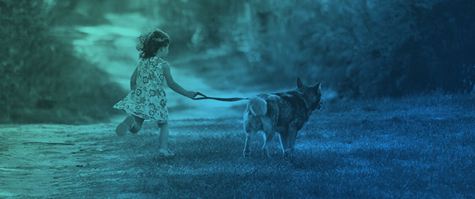 Supporting Families to &lsquo;Make the Most&rsquo; of the Relationship Between Their Companion Dogs and Their Children with Autism Spectrum Condition: A Qualitative Exploration of the &lsquo;Family Dog Service&rsquo;