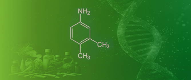 Bioactivation, Mutagenicity, DNA Damage, and Oxidative Stress Induced by 3,4-Dimethylaniline