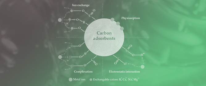 Development and Characterization of Biomass-Derived Carbons for the Removal of Cu<sup>2+</sup> and Pb<sup>2+</sup> from Aqueous Solutions