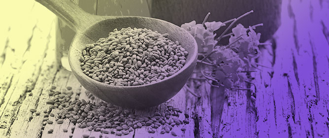 Glucosinolates from Seed-Press Cake of <em>Camelina sativa</em> (L.) Crantz Extend Yeast Chronological Lifespan by Modulating Carbon Metabolism and Respiration