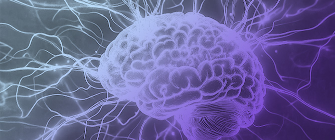 The Neural Palette of Heme: Altered Heme Homeostasis Underlies Defective Neurotransmission, Increased Oxidative Stress, and Disease Pathogenesis