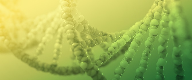 DNA Damage-Induced Ferroptosis: A Boolean Model