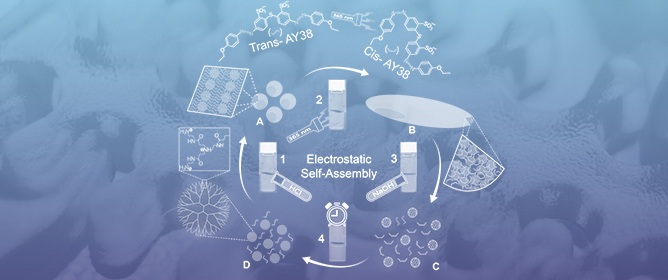 How Light-Irradiation Directs Electrostatic Self-Assembly