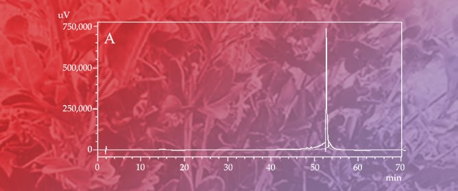 Flavonoid Extraction and Identification from <em>Pilocarpus microphyllus</em> Leaves: Antioxidant and Neuroprotective Potential