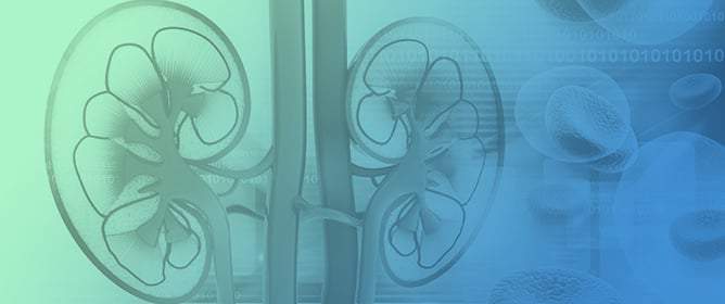 Proteinuria and Progression of Renal Damage: The Main Pathogenetic Mechanisms and Pharmacological Approach