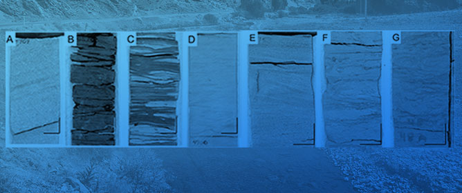 Facies and Bioturbation Effects on Permeability in Strawn Group Mixed Clastic-Carbonates