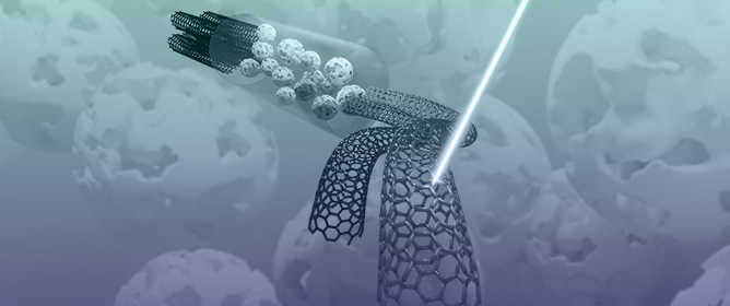 In Situ Raman Spectroscopy-Enabled Microfluidic Gel Chromatography for Real-Time SWNT Separation Dynamics