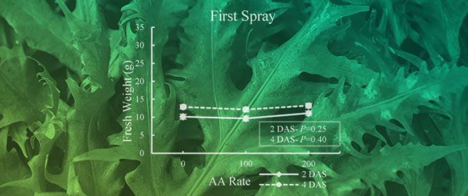 Nutrient Composition of Arugula Leafy Greens Following Application of Ascorbic Acid Foliar Sprays