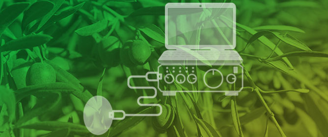 Electrical Impedance Spectroscopy: A Tool for Determining the Harvesting Time of Olive Fruit