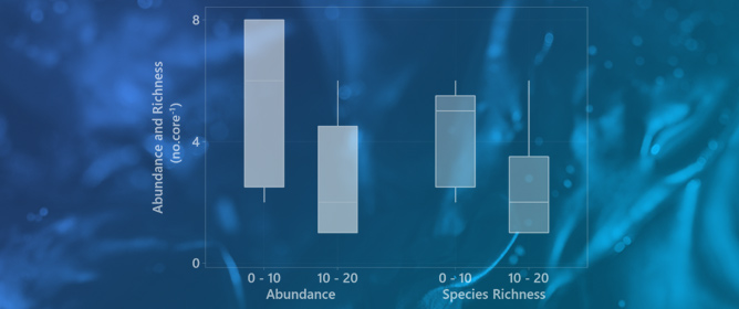 Seagrass-Associated Biodiversity Influences Organic Carbon in a Temperate Meadow