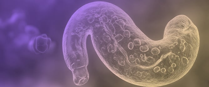 Uncovering the Mechanism of Action of Antiprotozoal Agents: A Survey on Photoaffinity Labeling Strategy