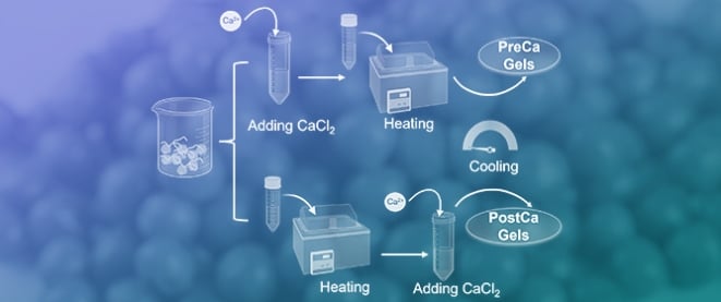 The Effect of CaCl<sub>2</sub> on the Gelling Properties of Pea Protein&ndash;Pectin Dispersions