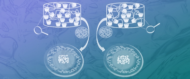 Synergistic Antibacterial Action of Norfloxacin-Encapsulated G4 Hydrogels: The Role of Boronic Acid and Cyclodextrin