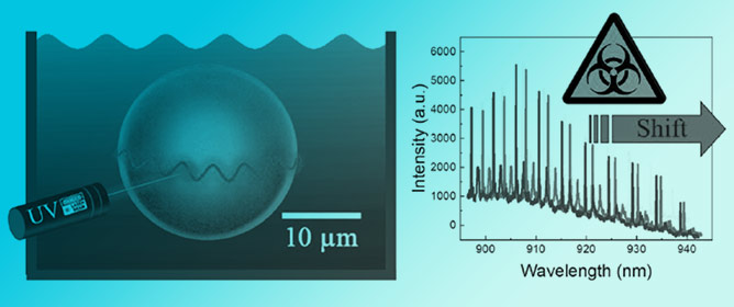 Stretching the Limits of Refractometric Sensing in Water Using Whispering-Gallery-Mode Resonators