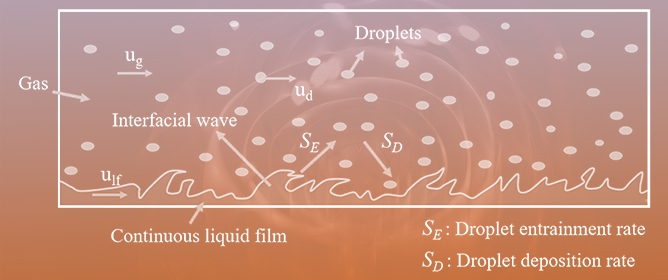 Droplet Entrainment in Steam Supply System of Water-Cooled Small Modular Reactors: Experiment and Modeling Approaches