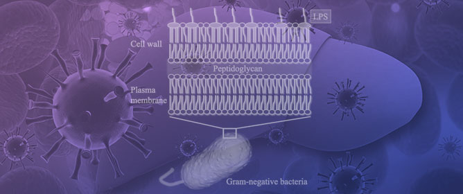 Advances in Understanding Lipopolysaccharide-Mediated Hepatitis: Mechanisms and Pathological Features